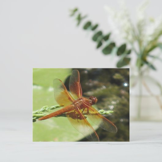 Dragonfly Dreams Briefkaart (Staand voorkant)