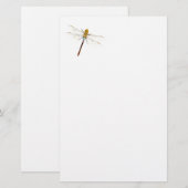 Dragonfly Dreams Briefpapier (Voorkant / Achterkant)