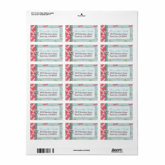 Dragonfly Dreams Jongensadreslabel Etiket (Full Sheet)