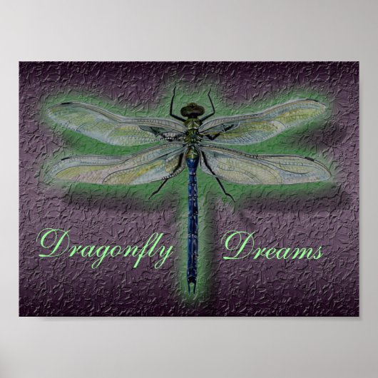 Dragonfly Dreams Poster (Voorkant)