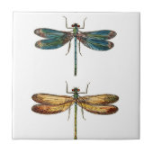 Dragonfly Duo-keramiek Tegeltje (Voorkant)