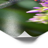 Dragonfly en Davids Lavender Phlox Foto Afdruk (Hoek)