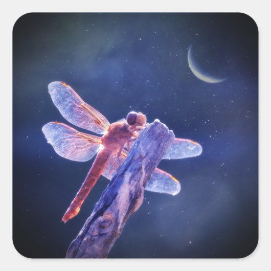 Dragonfly en halve maan mystiek vierkante sticker (Voorkant)