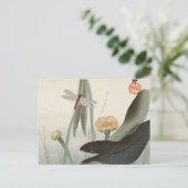 Dragonfly en Lotus, 1920, door Ohara Koson Briefkaart (Staand voorkant)