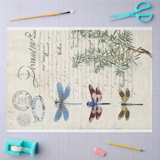 Dragonfly Ephemera-meubelen ontkoppelen papier (Craft)