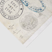 Dragonfly Ephemera-meubelen ontkoppelen papier (Detail)