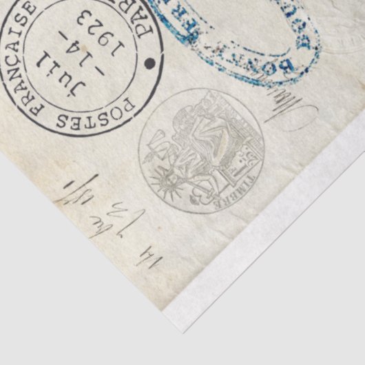 Dragonfly Ephemera-meubelen ontkoppelen papier (Detail)