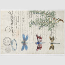 Dragonfly Ephemera-meubelen ontkoppelen papier