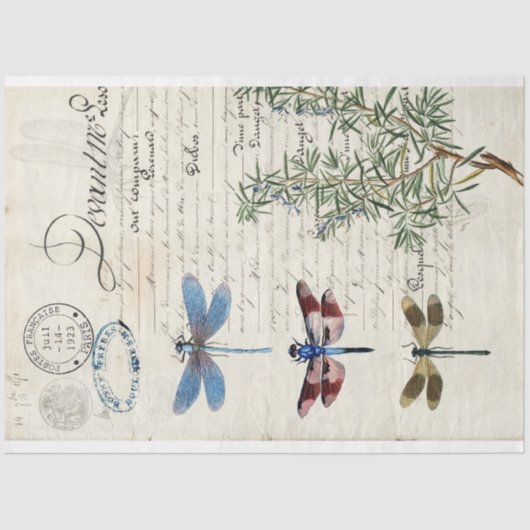 Dragonfly Ephemera-meubelen ontkoppelen papier (Voorkant)