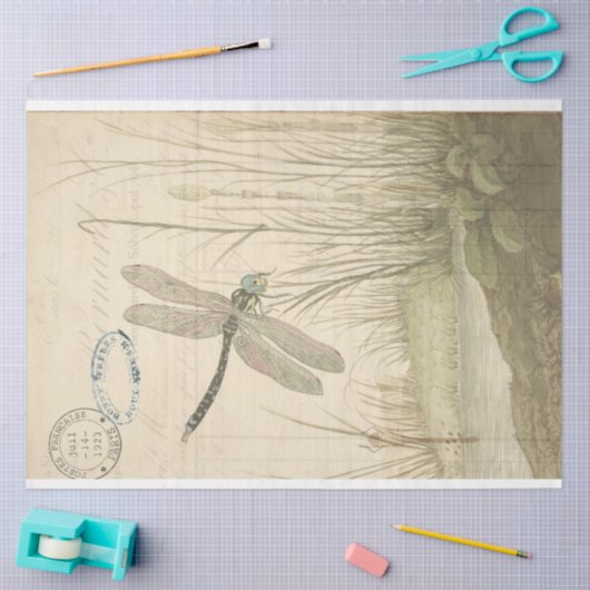Dragonfly Ephemera Tissuepapier (Craft)