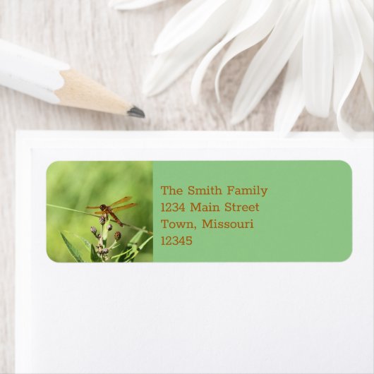 Dragonfly Etiket (Insitu)