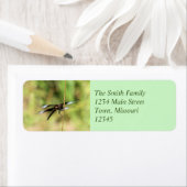 Dragonfly Etiket (Insitu)