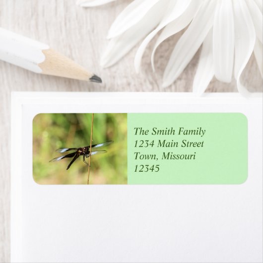 Dragonfly Etiket (Insitu)