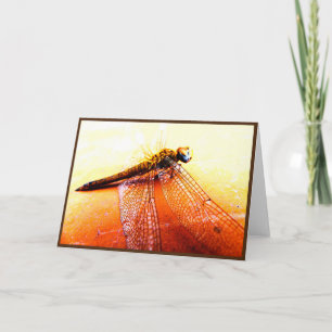 Dragonfly Folded Wenskaart Bedankkaart