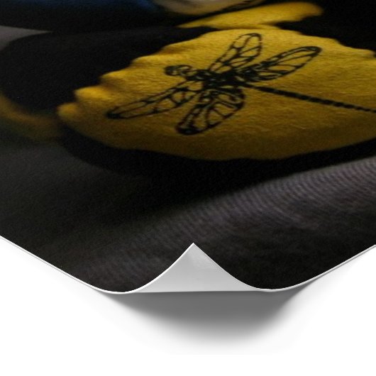 Dragonfly Footbags Poster (Hoek)