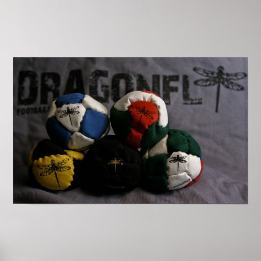 Dragonfly Footbags Poster (Voorkant)