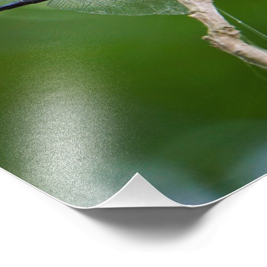 Dragonfly Foto Afdruk (Hoek)