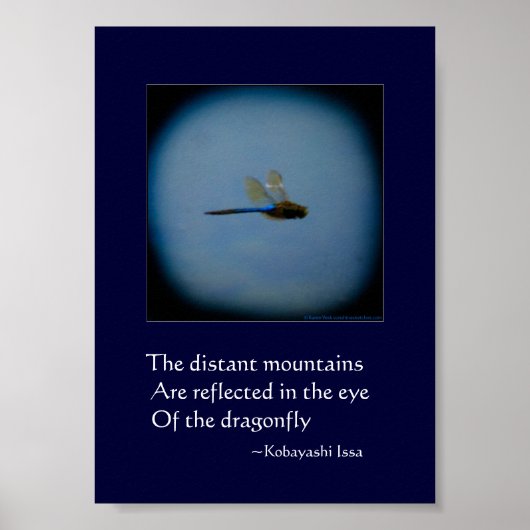 Dragonfly-foto met haiku-poster poster (Voorkant)