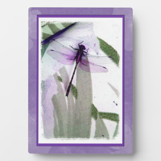 Dragonfly fotografie Art Plaque Fotoplaat (voorkant)