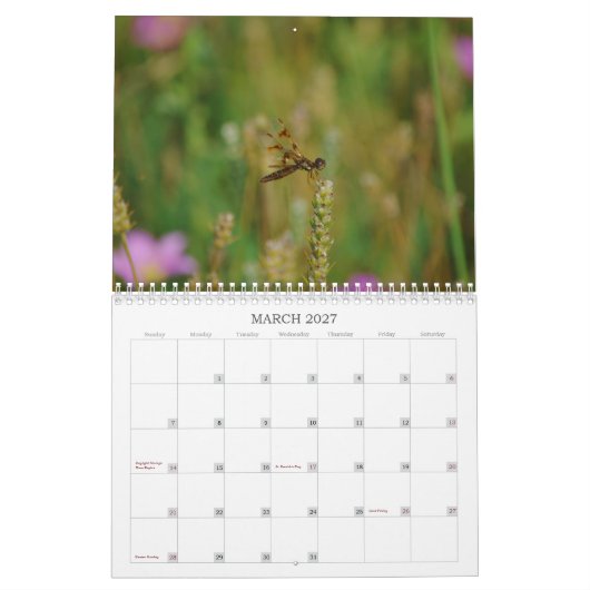 Dragonfly fotokalender kalender (Mar 2027)