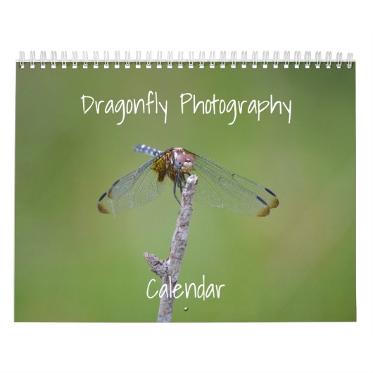 Dragonfly fotokalender kalender (Hoes)