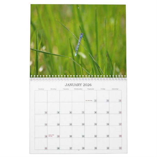 Dragonfly fotokalender kalender (Jan 2026)