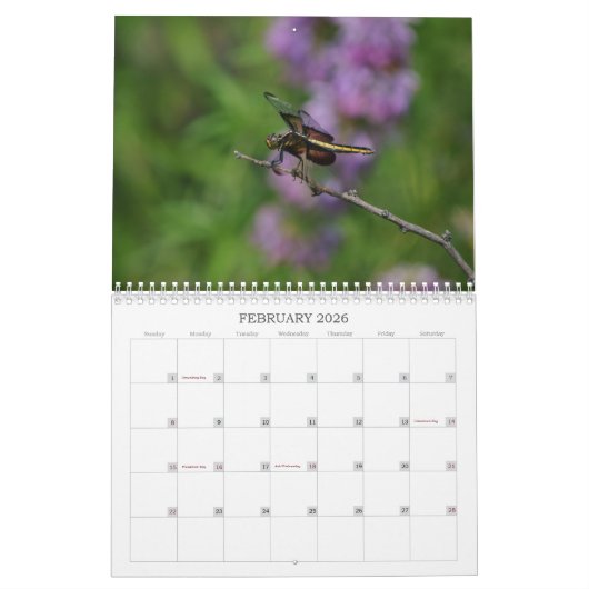 Dragonfly fotokalender kalender (Feb 2026)