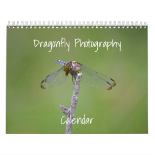 Dragonfly fotokalender kalender