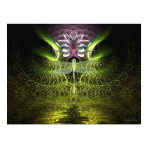 Dragonfly Fractal Magic Photo Foto Afdruk