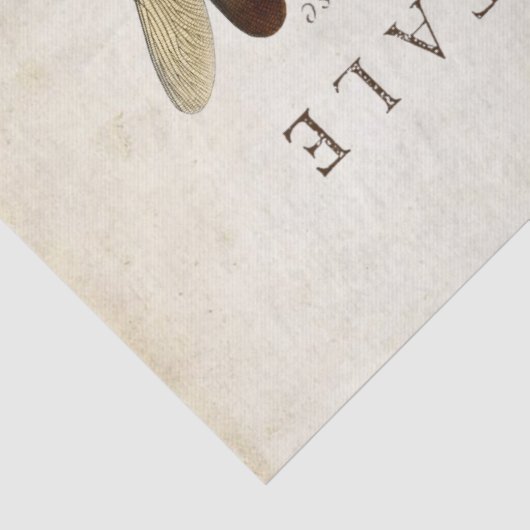 Dragonfly  Franse carte Postale ontkoppeling Tissuepapier (Detail)