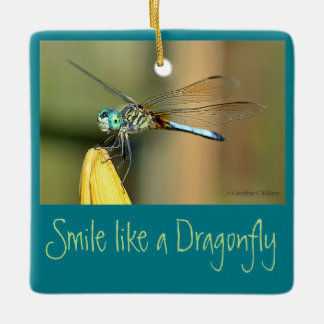 Dragonfly glimlachen keramisch ornament