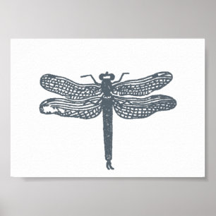 Dragonfly Grays afdrukken Poster