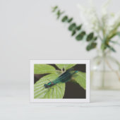 Dragonfly (grens) visitekaartje (Staand voorkant)