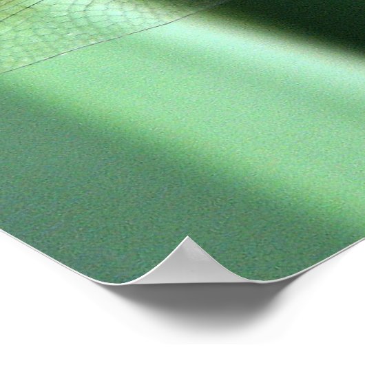 Dragonfly Hallo Poster (Hoek)