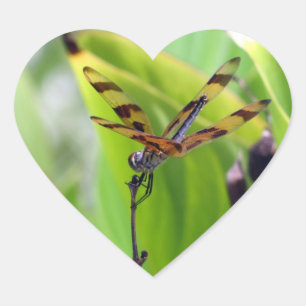 Dragonfly - Halloween Penant Hart Sticker
