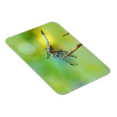 Dragonfly hangt aan. magneet (Rechterzijde)