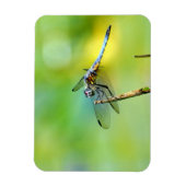 Dragonfly hangt aan. magneet (Verticaal)