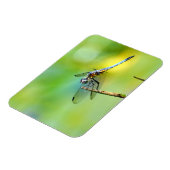 Dragonfly hangt aan. magneet (Linkerzijde)