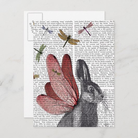Dragonfly Hare Briefkaart (Voorkant / Achterkant)