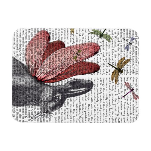 Dragonfly Hare Magneet (Horizontaal)