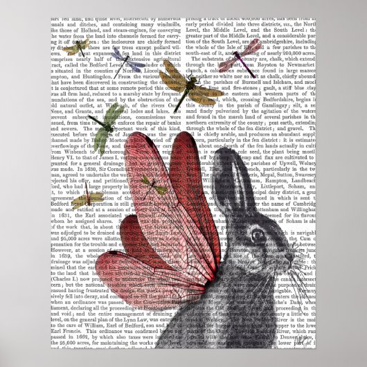 Dragonfly Hare Poster (Voorkant)