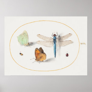 Dragonfly Illustratie Poster