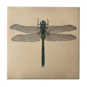  dragonfly-illustratie tegeltje