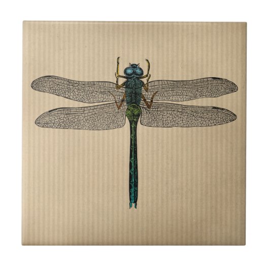 dragonfly-illustratie tegeltje (Voorkant)