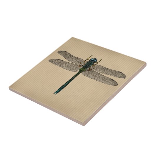 dragonfly-illustratie tegeltje (Zijkant)