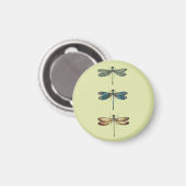 Dragonfly Illustraties Magneet (Voorkant / Achterkant)
