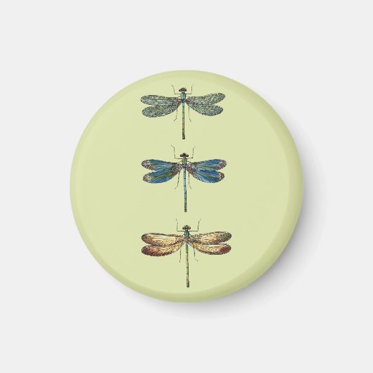 Dragonfly Illustraties Magneet (Voorkant)