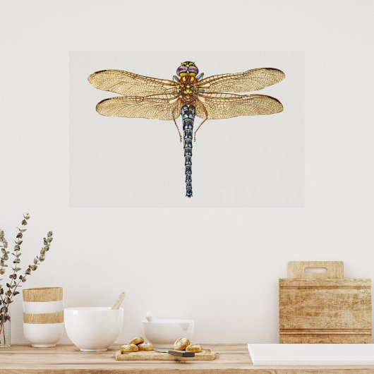 Dragonfly Illustration Poster (Keuken)