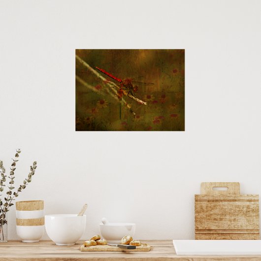 Dragonfly in de tuin poster (Keuken)