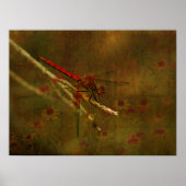 Dragonfly in de tuin poster (Voorkant)